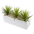 thumbnail image 2 of Nearly Natural Mini Agave Artificial Plant in Rectangular Ceramic, 2 of 5