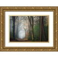 thumbnail image 1 of Borggreve, Ellen 14x11 Gold Ornate Wood Framed with Double Matting Museum Art Print Titled - Once Upon A Dream, 1 of 4