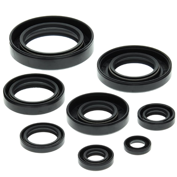 Winderosa 822147 Oil Seal Kit