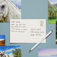 thumbnail image 2 of Conjunto de Postales BEST PAPER GREETINGS 4x6 de 40 piezas, papel 250gsm, Animales Salvajes, 2 of 9