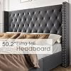 VanAcc Queen Size Velvet Low Profile Platform Beds Tufted Upholstered Platform Bed Frame Raised Wingback Headboard /No Box Spring Needed/Easy Assembly