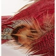 thumbnail image 2 of Worth Imports 4.5" Feathered Bird with Metal Clip, Burgundy, Set of 6 - 4.5, 2 of 2