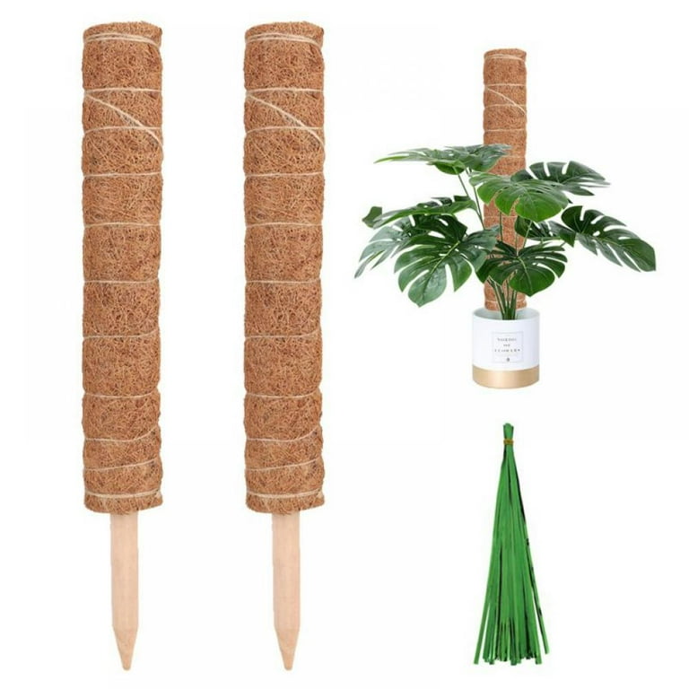 3-Pack, 48-Inch Moss Poles & 20-Inch Moss Sticks, Coir Totem