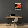 thumbnail image 3 of Vision Studio 20x20 White Modern Wood Framed Museum Art Print Titled - Dramatic Camellia III, 3 of 4