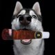 thumbnail image 1 of Juguetes frescos para perros Yinane Juguetes chirriantes para masticar medianos y grandes, 1 of 8