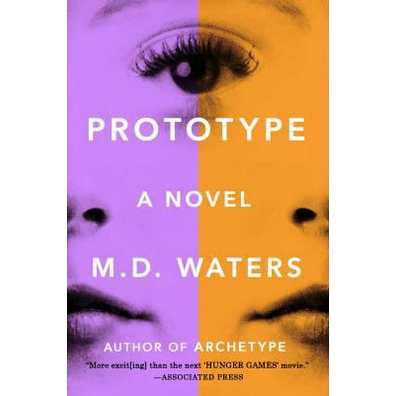 Pre-Owned Prototype: A Novel (Paperback) 0142181560 9780142181560