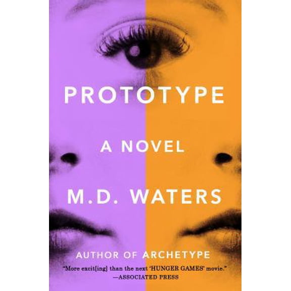 Pre-Owned Prototype: A Novel (Paperback) 0142181560 9780142181560