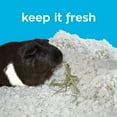 thumbnail image 5 of carefresh® white small pet bedding, 10L, 5 of 10