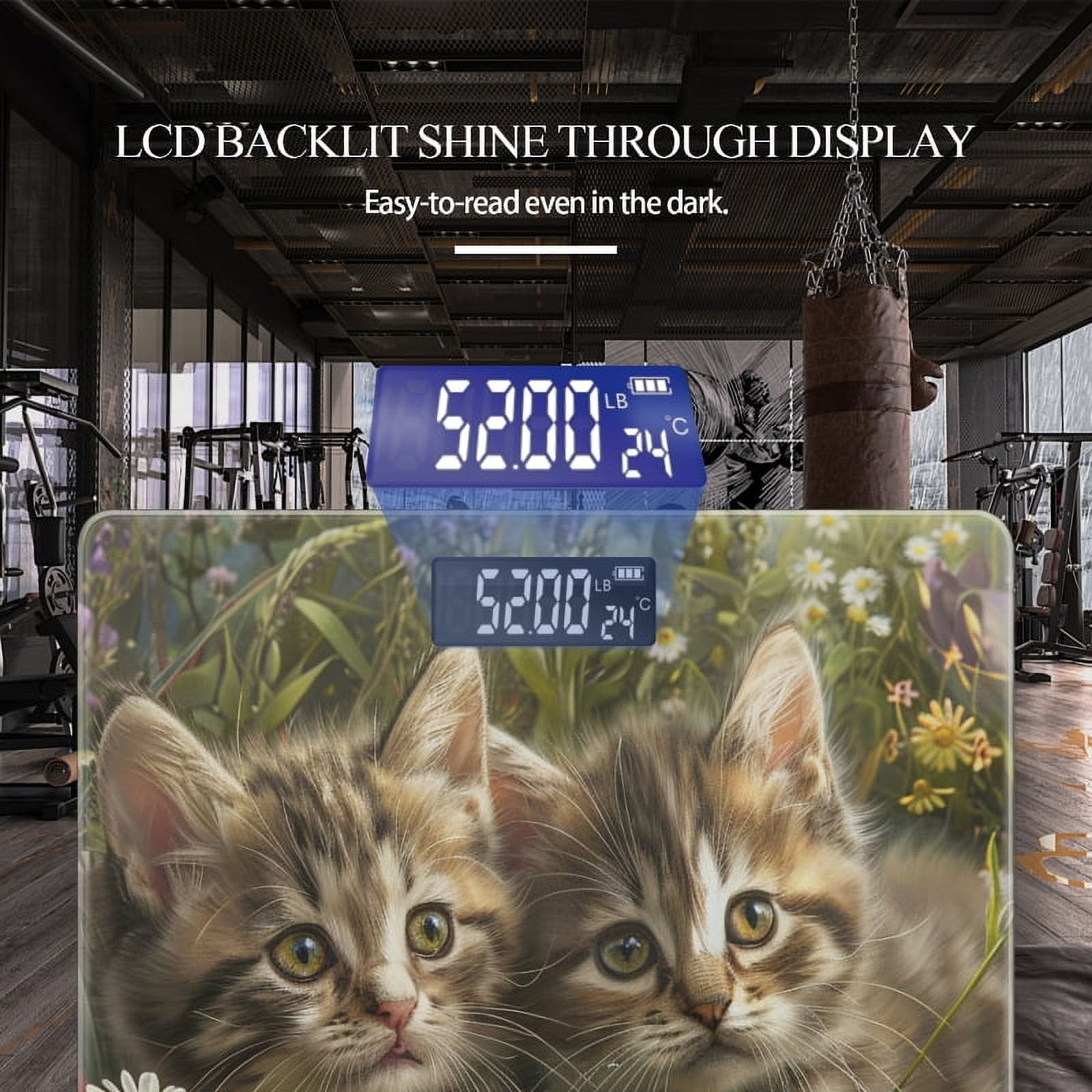 Bathroom Scale, Highly Accurate Digital Body Scale,Precisely Measures Weight up to 400 lbs-Adorable Kittens Sitting In The Middle Of Wildflowers And Daisies