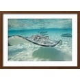 thumbnail image 2 of Art.com Southern Stingrays at Stingray City Photographic Print by Paul Souders, Brown Frame Wall Art, 23" x 17", 2 of 5