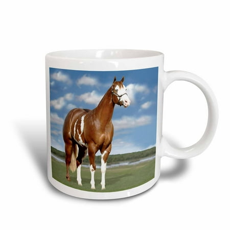 - 3dRose Champion Paint Quarter Horse, Ceramic Mug, 11-ounce