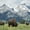 Grazing Teton Bison, variant on Elephant Stock Bull Bison In Grand Teton Wall Art - Horizontal Canvas Wall Art - Living Room Wall Decor - Animal Canvas - Blue And Green Decor - 12" x 8"