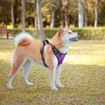 thumbnail image 5 of PoyPet Dog Harness No Pull, Adjustable Soft Padded Pet Vest, No Choke Reflective Front Dog Harness, Purple m, 5 of 9