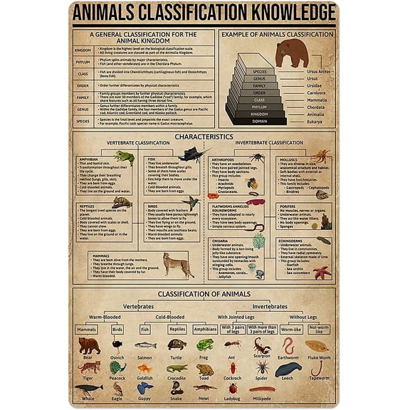 Animal Footprint Knowledge Metal Tin Sign Hunting Chart Poster Farm Outdoor School Club Wall Decoration Plaque 12x18 Inches