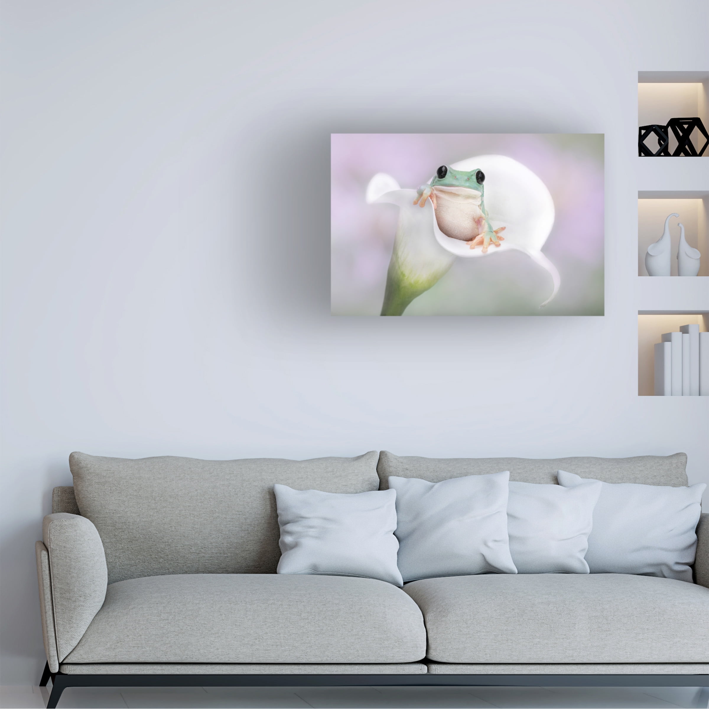 Linda D Lester 'Whites Tree Frog On A White Lily' Canvas Art 