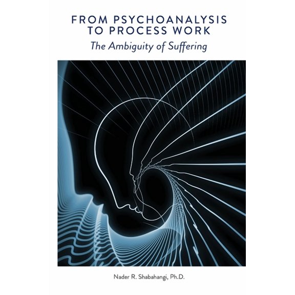 From Psychoanalysis to Process Work: The Ambiguity of Suffering, (Paperback)