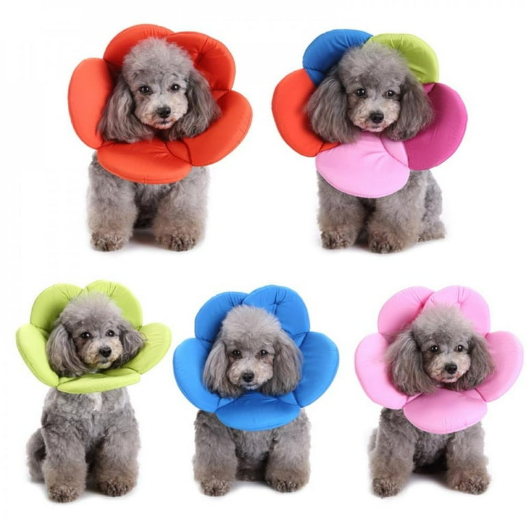 Dog cone store for sale