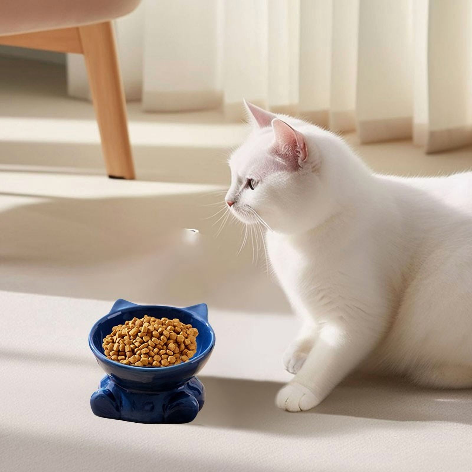Elevated Cat Bowls Ceramic Raised Feeder Dish for Indoor Cats & Small Dogs, 15-Degree Tilt Whisker Friendly Shallow Bowl to Reduce Neck Strain, Vomit, and Spine Pressure