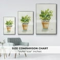 thumbnail image 4 of Succulent I Framed Premium Gallery Wrapped Canvas - Ready to Hang - 17 x 25 - Silver Floating Frame, 4 of 9