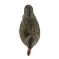 thumbnail image 6 of (2 pack) Falls River Mallard 6 Pack Duck Decoys, 6 of 11