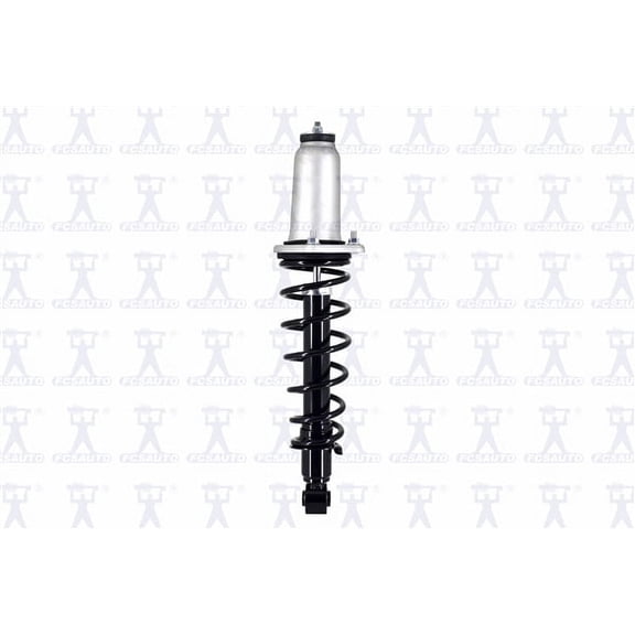 Suspension Strut and Coil Spring Assembly