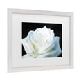 thumbnail image 2 of Trademark Fine Art 'White Rose II' Canvas Art by Kurt Shaffer, 2 of 4