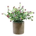 thumbnail image 1 of Fake Plant Potted Lifelike Small Artificial Greenery Plant Faux Plant Decoration, 1 of 10