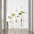 thumbnail image 4 of Hanging Glass Planter - Hydroponic Plant Propagation Test Tube Wall Hanging Terrariums Clear Transparent Glass Flower Vase for Indoor Outdoor Home Office Wedding Décor, 4 of 10