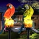 thumbnail image 5 of Wosthever La luz solar de la noche del paisaje de la decoración LED del búho de la resina añade el tacto caprichoso al jardín con el solar en Jardín y Patio Verde, 5 of 6