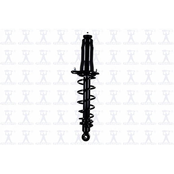Suspension Strut and Coil Spring Assembly