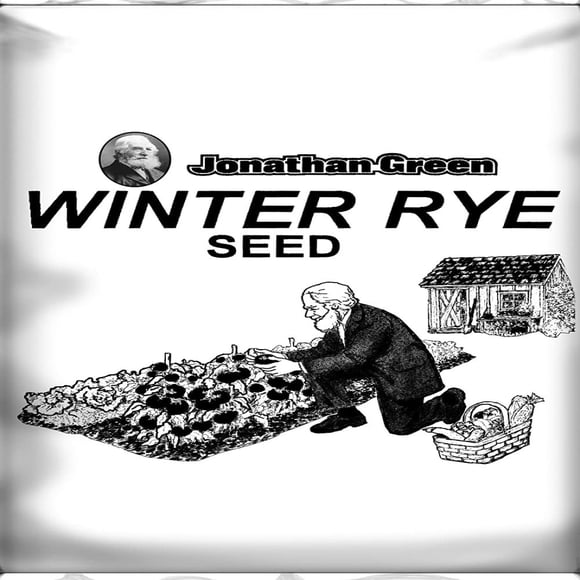 Winter Rye Seeds