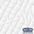 thumbnail image 3 of Quilted Northern Ultra Soft & Strong, Toilet Paper, 12 Mega Rolls, 3 of 5