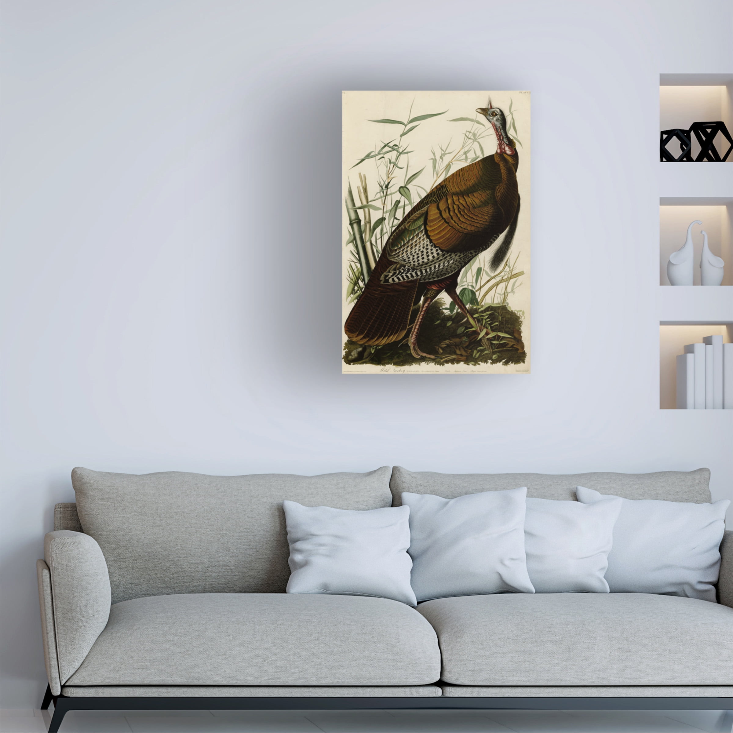John James Audubon 'American Wild Turkey Cock' Canvas Art