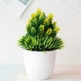 thumbnail image 5 of 2PCS Artificial Potted Small Greenery,Realistic Mini with Flowers for Indoor Home Decor,Desktop Table Centerpiece for Bathroom,Farmhouse Displays,Mother's Day,Christmas Gifts, 5 of 6
