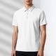 thumbnail image 1 of Blusa y camisa de manga corta con cuello vuelto para hombre, color liso, informal, holgada, a la moda, de seda helada, sin costuras, transpirable, elástica, con botones, de cedro, blusa de manga corta, 1 of 6