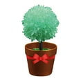 thumbnail image 1 of Green Diy Crystal Flower Growth Kit, Educational Science Toy For Fast Results In 24 Hours, 1 of 3