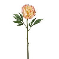 Floral Peony Stem
