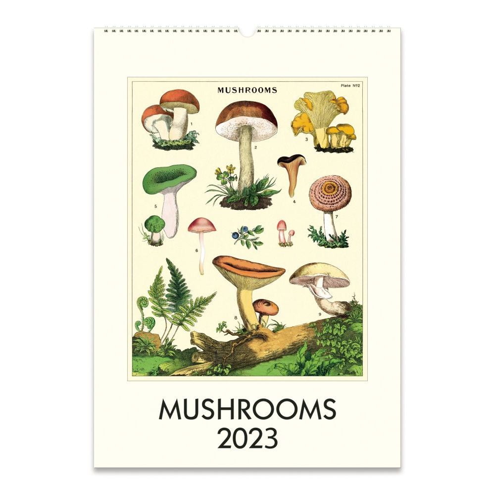 Cavallini Papers & Co., Mushrooms 2023 Poster Wall Calendar