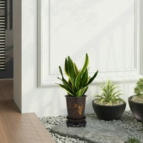 WASHWEPE 1Set Plastic Plant Pot for Indoor Planting 6.68X6.68X9.43in