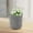 Grey, variant on LSLJS Wire Hanging Basket Kitchen Storage Basket Entrance Snack Basket Cosmetic Storage Box Hanging Cotton Rope Woven Storage Basket Home Storage Cotton Wire Basket