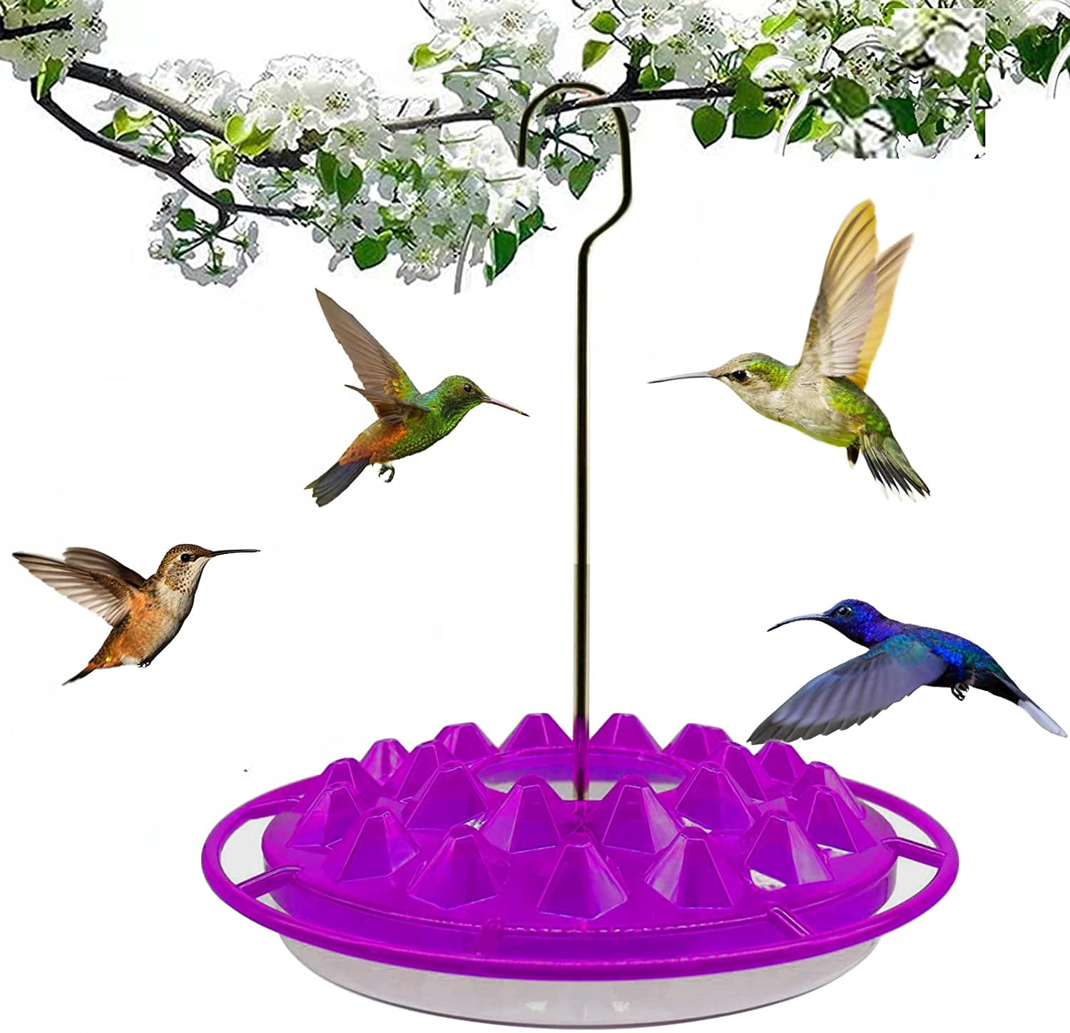 Marys Hummingbird Feeder, 2022 New Hummingbird Guernsey Ubuy