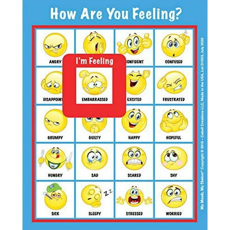 How are You Feeling? Emoji Magnets. Perfect for The Refrigerator, File Cabinet, or Other Metal Surfaces. Size - 7.25 x 9 inches.