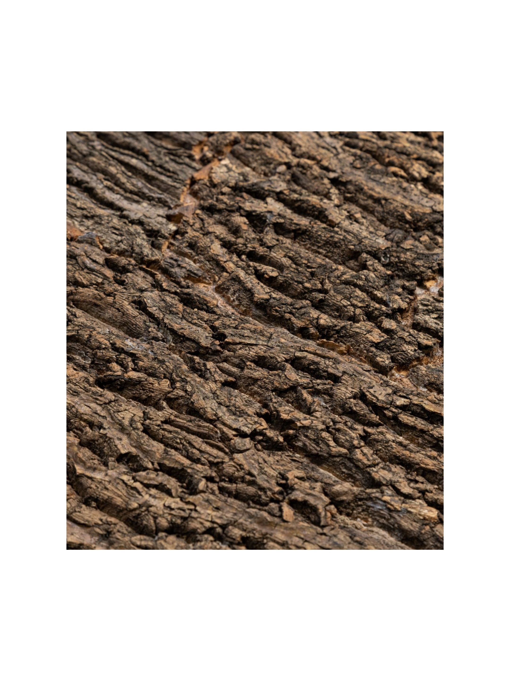 New Age Pet Cork Terrarium Background for Mojave Reptile Lounge, Natural and Moisture-Resistant