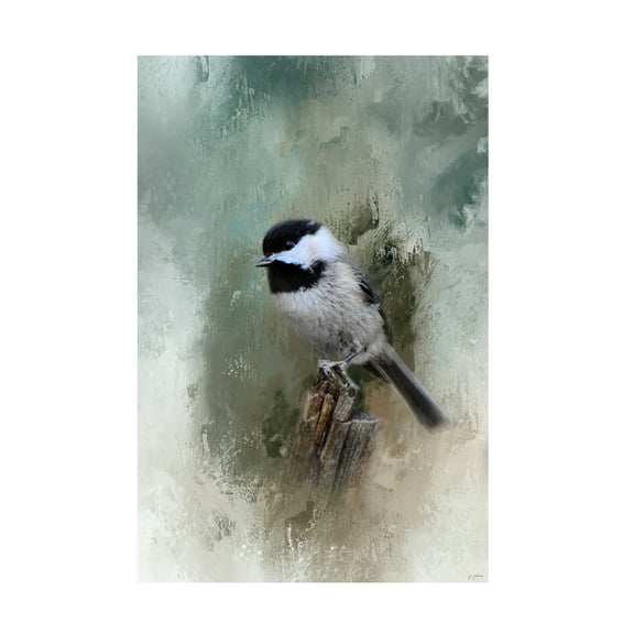 Trademark Fine Art Jai Johnson Winter Chickadee Canvas Wall Art - 16x24