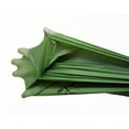 thumbnail image 3 of Mogalixe Compostable Trash Bags - 5 Gallon (50 Count) - Unscented - Certified Compostable, 3 of 5