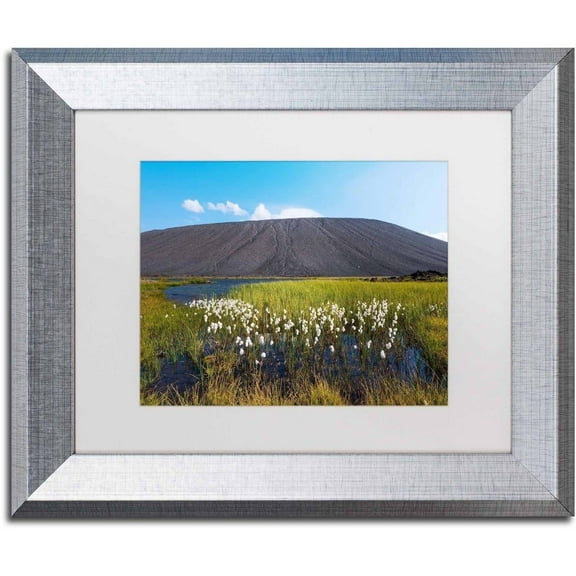 Trademark Fine Art 'Space Walk' Canvas Art by Philippe Sainte-Laudy, White Matte, Silver Frame