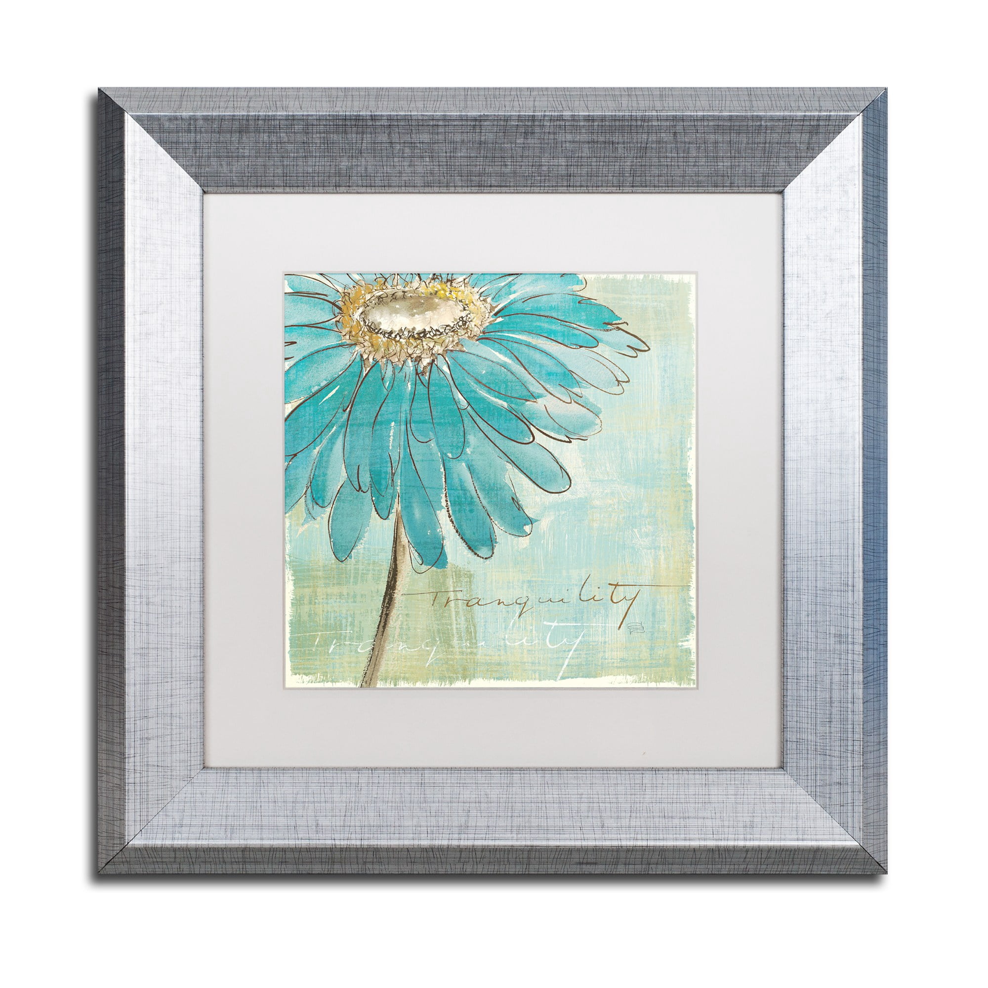 Trademark Fine Art "Spa Daisies III" Canvas Art by Chris Paschke White Matte, Silver Frame