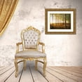 thumbnail image 3 of Nawrocke, Bruce 24x19 Gold Ornate Wood Framed with Double Matting Museum Art Print Titled - Sunrise In The Woods, 3 of 4