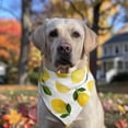thumbnail image 2 of Dog Bandana 1 Pack,Yellow Lemon Fruit Leaves White Pattern Bandanas for Dogs,Cat Bandana,Small/ Large Dog Bandana 2 Size,Dog Bandanas, 2 of 6