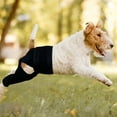 thumbnail image 6 of sunsanly Dog Hip Knee Leg Brace Adjustable Dog ACL Brace for Back Hind Rear Legs Torn Tear Hip Dysplasia Arthritis Pet Knee Protector, 6 of 7